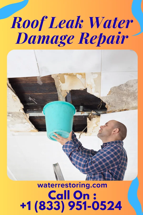 Roof Leak Water Damage Repair in Tina, MO