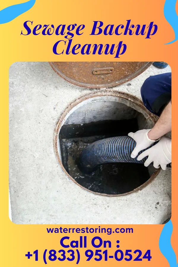 Sewage Backup Cleanup in Tina, MO
